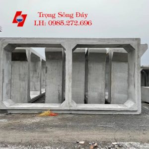 Cống hộp đôi có vai 3x3