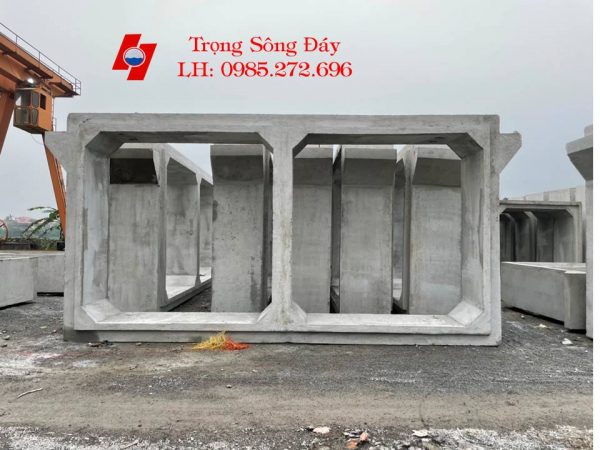 Cống hộp đôi có vai 3x3